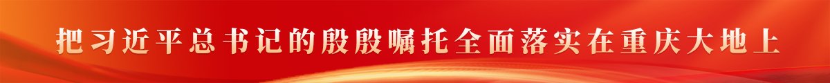一图读懂 | 全面建成“一极一枢纽”