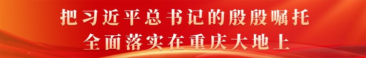 重庆交通物流“十五五”规划重点来了→
