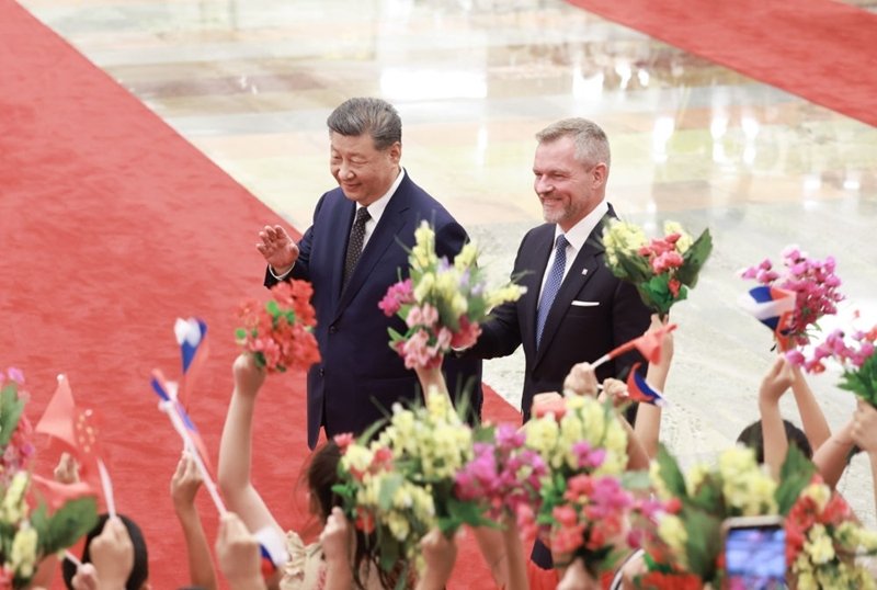 附件下载：
