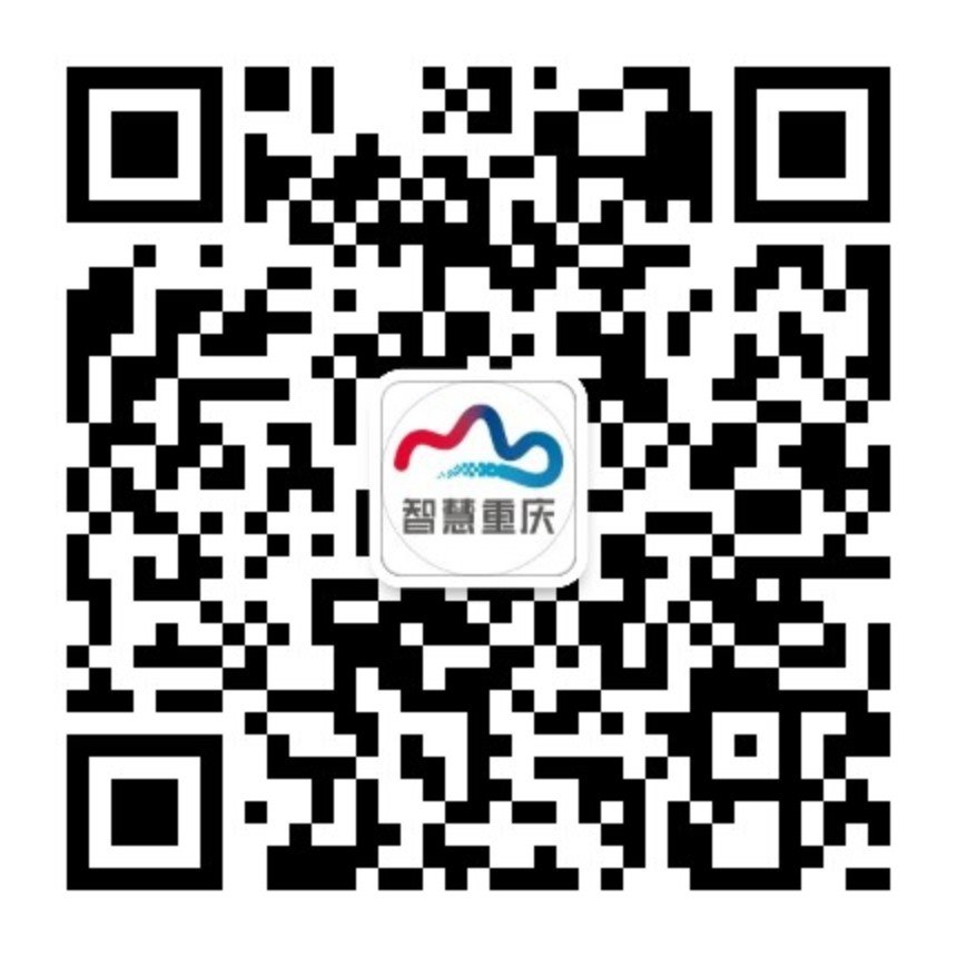 渝ICP备19000372号-2政府