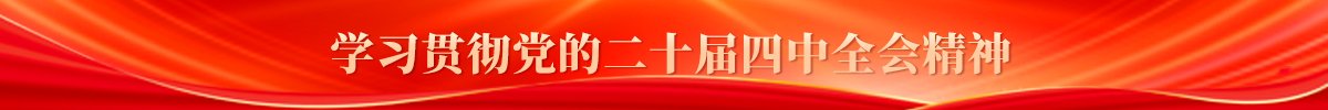 区（县）政府网站