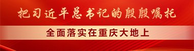 国务院督查