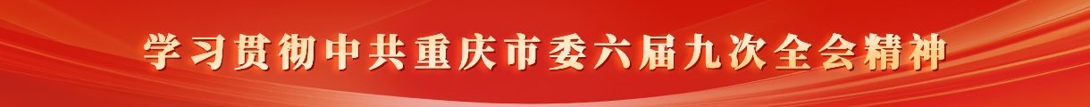 新品开发