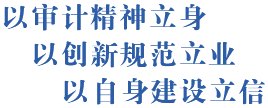 区人大常委会专题调研审计查出问题整改